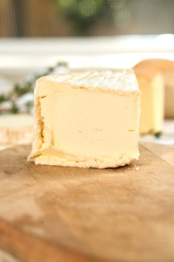 BRIE DONGÉ