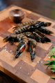 HEAD-ON SHRIMP (8/12)
