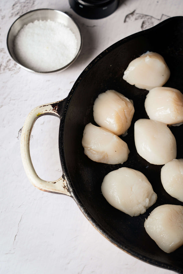 WILD CAUGHT SEA SCALLOPS (15 COUNT / 1 LB)