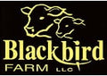 Blackbird Farms