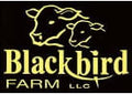 Blackbird Farms