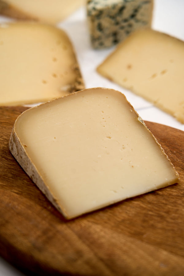 URBAN STEAD AMERICAN GOUDA
