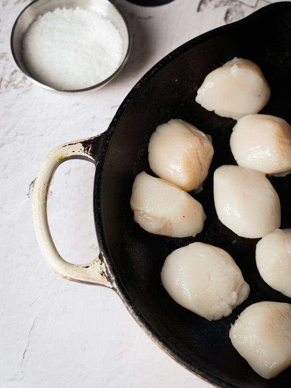 WILD CAUGHT SEA SCALLOPS  (15 COUNT / 1 LB)
