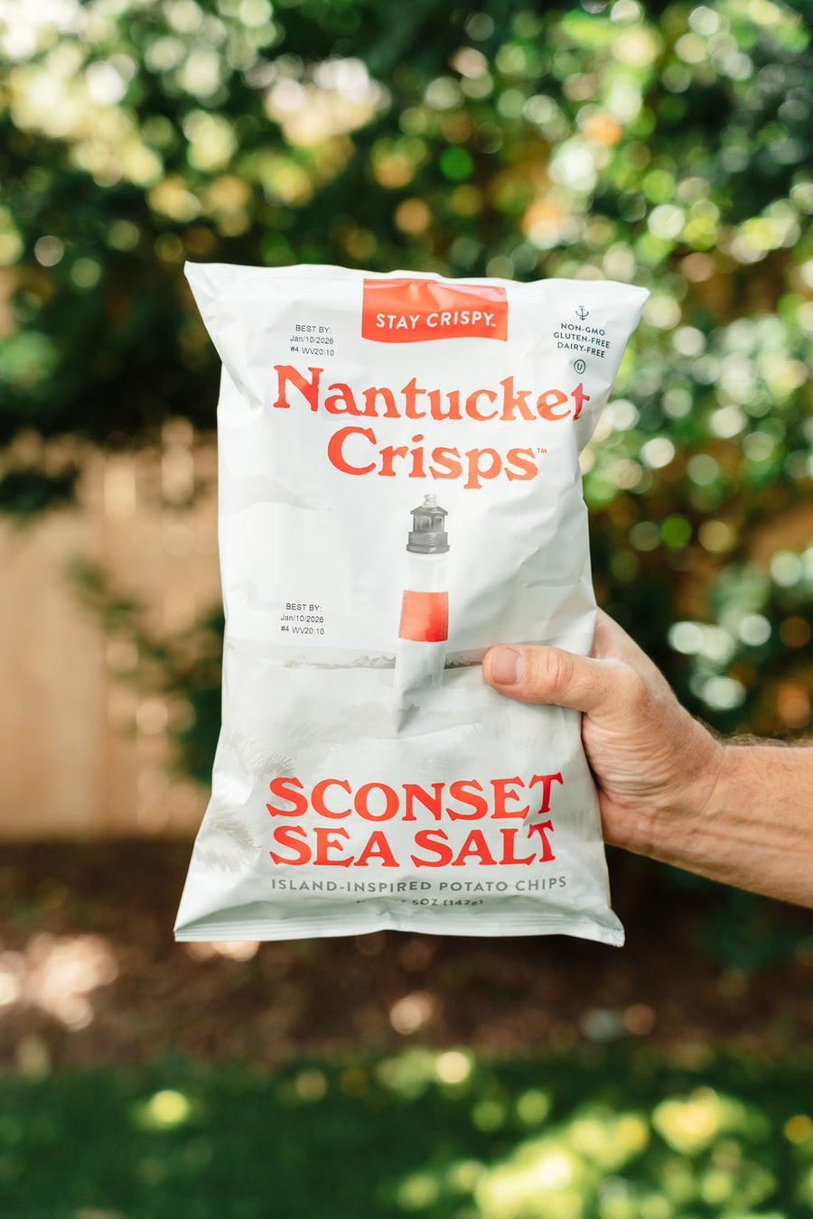 SCONSET SEA SALT POTATO CHIPS