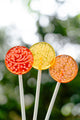 MIXED LOLLIPOPS WITH A VANILLA GLAZE (3)