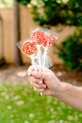 RASBERRY LOLLIPOPS WITH CANDIED VANILLA GLAZE (3)