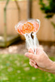 MANGO LOLLIPOPS WITH A VANILLA GLAZE