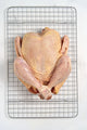 ORGANIC PASTURE-RAISED PIONEER BREED WHOLE CHICKEN (3.5 – 4.0 LBS)