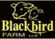 Blackbird Farms